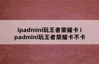 ipadmini玩王者荣耀卡 ipadmini玩王者荣耀卡不卡